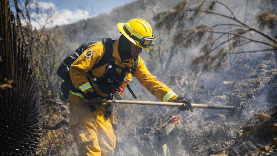 “incendio forestal Doctor Arroyo Nuevo León helicóptero Protección Civil”