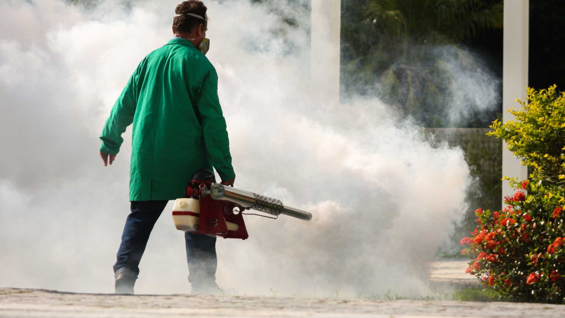 “fumigación dengue Nuevo León brigadas salud”