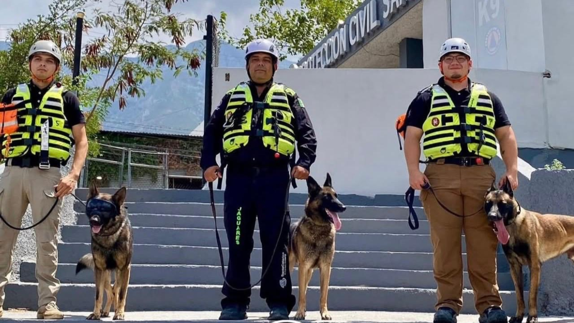 Unidad K9 de Santa Catarina apoyará rescate en Venezuela