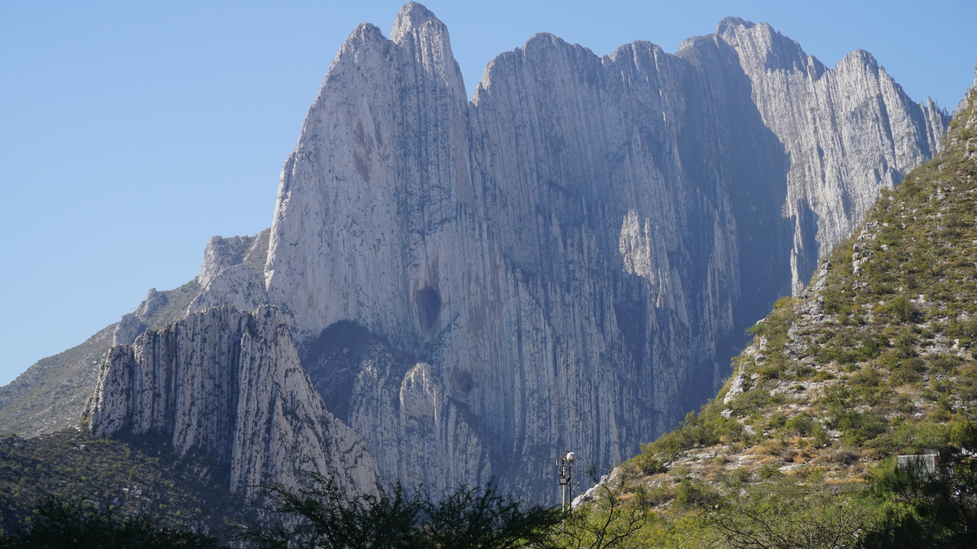 Nuevo León refuerza cuidado ambiental